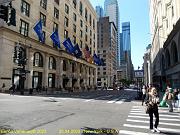 338 - New York - Fifth Ave